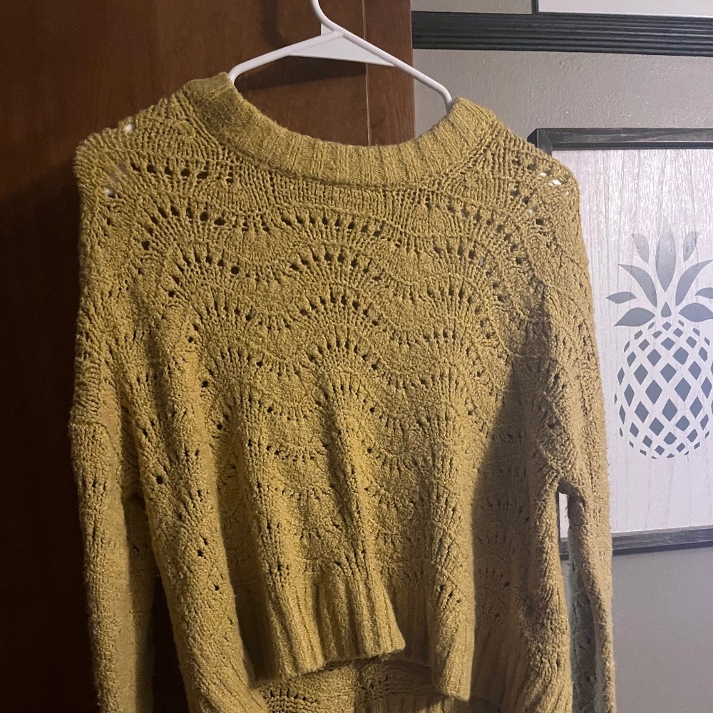 American Eagle Cropped Sweater